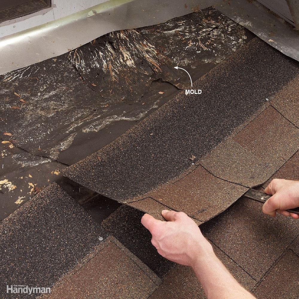 Pay Attention to the Roof Pay Attention to the Roof