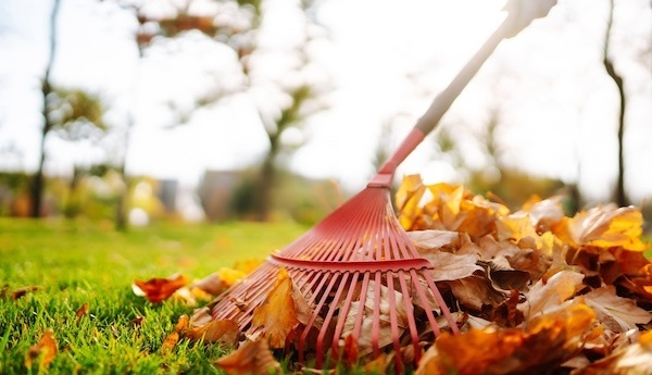 Fall Home Maintenance