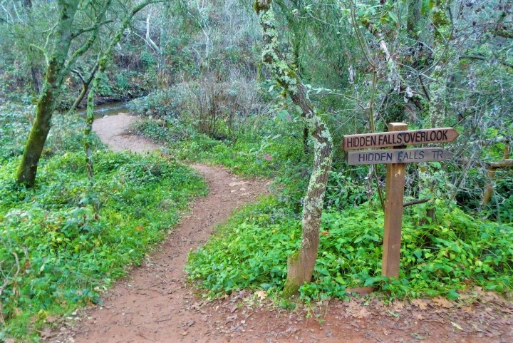 auburn hiking trails hidden falls
